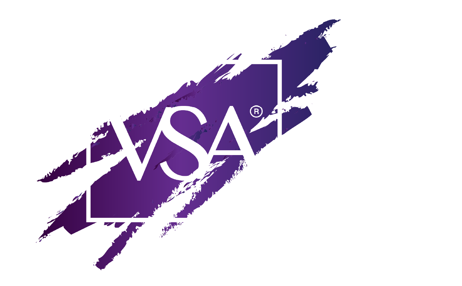 VSA logo